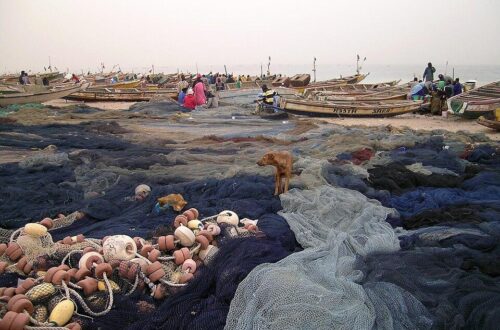 Pirogues de pêcheurs sur la plage du port de pêche de Nouakchott, Mauritanie