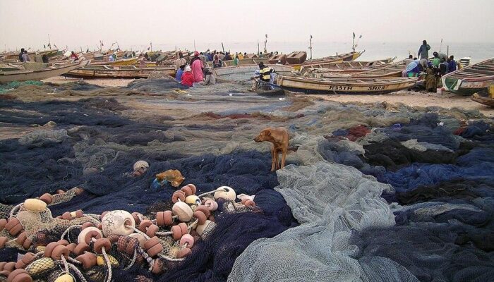 Pirogues de pêcheurs sur la plage du port de pêche de Nouakchott, Mauritanie